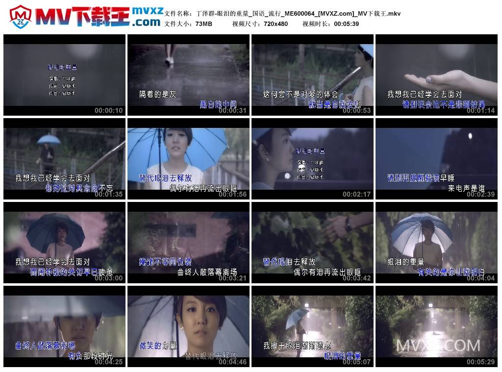 丁泽群-眼泪的重量_国语_流行_ME600064